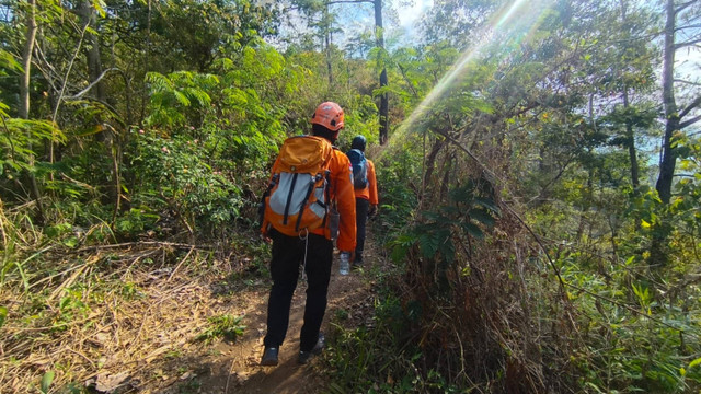 Petugas Basarnas Surabaya saat melakukan pencarian Muhamad Agus (24), pelajar asal Cengkareng, Jakarta Barat, yang dilaporkan hilang saat mendaki di Gunung Wilis, Kabupaten Nganjuk. Foto: Dok. Basarnas Surabaya