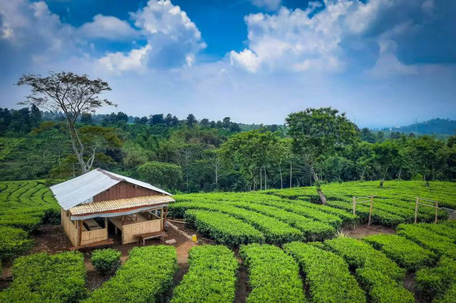 Foto hanya ilustrasi, bukan tempat yang sebenarnya. Penginapan di Batu Malang dengan View Bagus dan Murah. Sumber: Unsplash/Gusman Rifandi