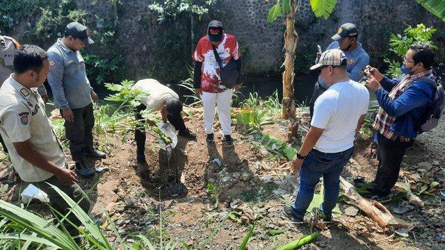 Penanaman bibit kelengkeng varietas Kateki di bantaran sungai Winongo, Tegalrejo, Kota Jogja, Daerah Istimewa Yogyakarta (DIY), Jumat (11/10/2024).Foto: Hadid H.