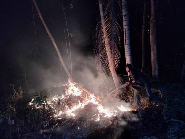 Polsek Bandung Datangi TKP Kebakaran Hutan Milik Perhutani Desa Sukoharjo