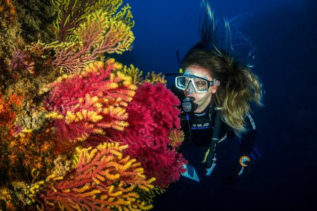 Spot Diving di Banda Naira. Foto Hanya Ilustrasi Bukan Tempat Sebenarnya. Sumber Foto: Unsplash.com/Juanma Clemente-Alloza