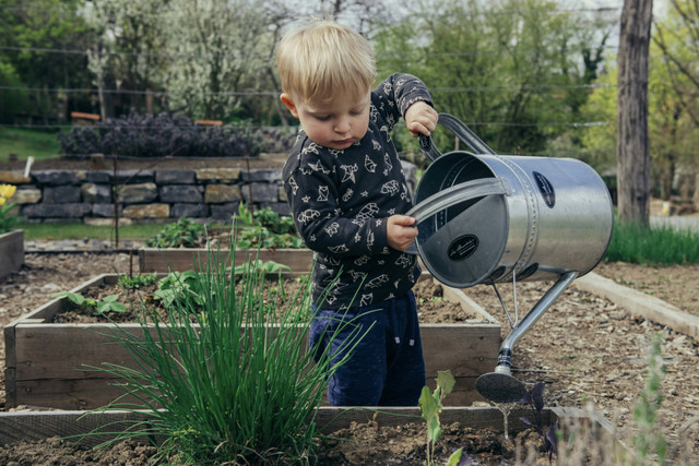 Ilustrasi hama dan penyakit tanaman hortikultura, foto: unsplash/Filip Urban