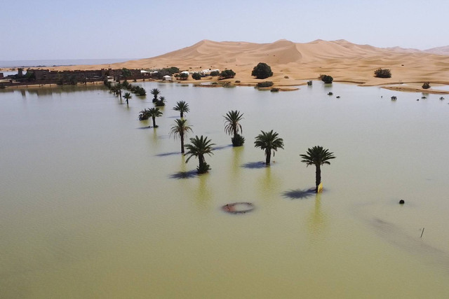 Pohon palem terendam banjir akibat hujan lebat di gurun Merzouga, dekat Rachidia, tenggara Maroko, Rabu, 2 Oktober 2024. Foto: AP Photo