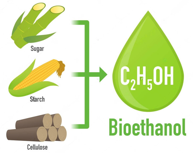 Ilustrasi konversi bioetanol (Sumber: shutterstock)