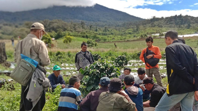 Aktivitas edukasi kopi arabica di agrowisata kibuk, Kota Pagar Alam, Sumsel, Minggu (13/10) Foto: urban id