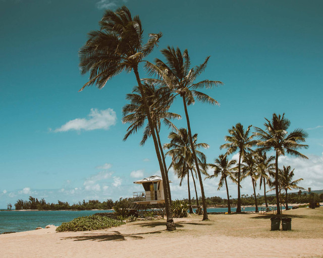 Pantai Batu Batu Kenjeran (Foto hanya ilustrasi, bukan tempat sebenarnya) Sumber: pexels/ Jess Loiterton