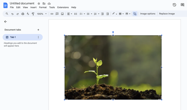 Ilustrasi cara memasukkan foto ke dalam Google Docs. Foto: Google Docs  