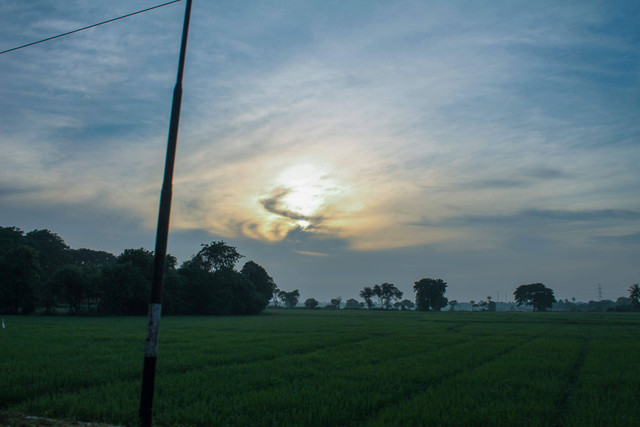 Sumber : Puspita Indah Rahmawanti.  Sawah di Jalan Banten Lama