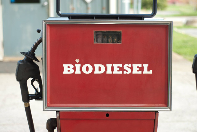 Ilustrasi Biodiesel. Foto: Shutterstock