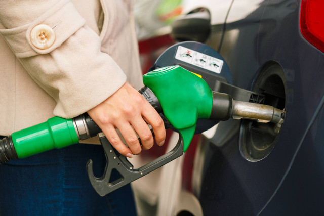 Ilustrasi Biodiesel. Foto: Shutterstock