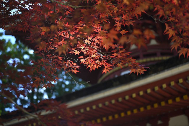 "Kuil Koyasan" https://pixabay.com/photos/koyasan-japan-temple-6584637/