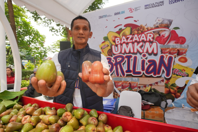 Petani jambu citra asal Desa Menawan, Kecamatan Gebok, Kudus Siswandi berpartisipasi pada Bazaar UMKM BRILiaN. Foto: Dok. BRI