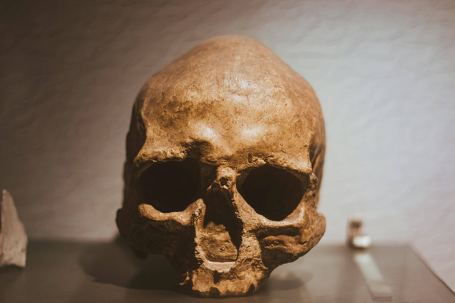 Ilustrasi ciri-ciri Homo Floresiensis. Foto: Pexels.com/Ranjit Pradhan