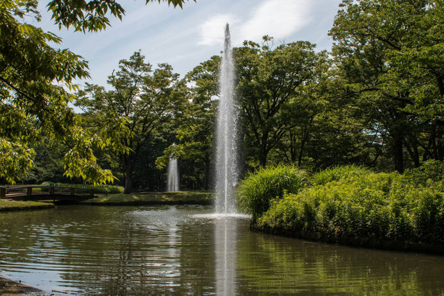 Tlogomas Park Malang. Foto hanya ilustrasi, bukan tempat sebenarnya. Foto: dok. Unsplash/Joan