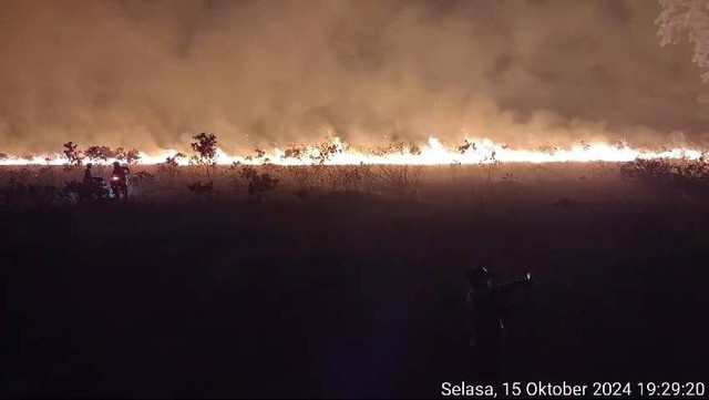 Kebakaran lahan Taman Nasional Way Kambas (TNWK). | Foto: Dok Istimewa