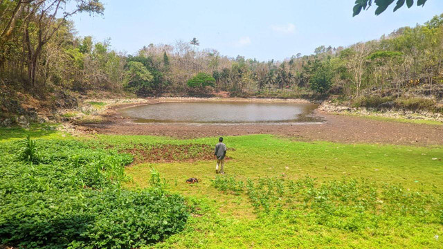 Telaga Mboromo, Kalurahan Karangasem, Kapanewon Paliyan, Gunungkidul, Daerah Istimewa Yogyakarta (DIY).Foto: Istimewa