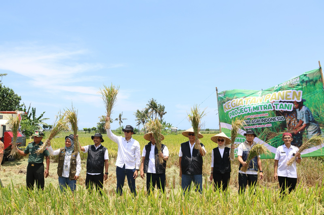 Perum BULOG saat panen padi dari Program Mitra Tani di Desa Watukebo, Kabupaten Banyuwangi, Rabu (16/10/2024). Foto: Dok. BULOG