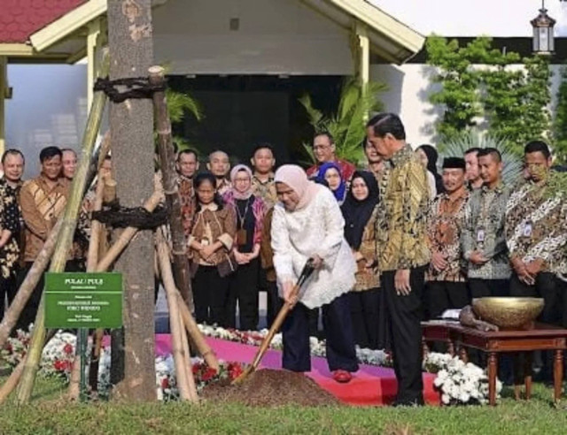 Presiden Joko Widodo dan Iriana Joko Widodo menanam pohon Pulai dan pohon Flamboyan di halaman tengah istana sebagai kenangan menjelang purnatugas di Istana Kepresidenan, Jakarta, Kamis (17/10/2024). Foto: Muchlis Jr/Biro Pers Sekretariat Presiden