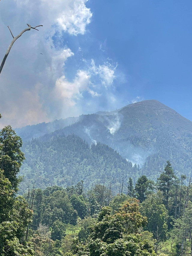 Kebakaran kawasan hutan di Gunung Agung, di Kabupaten Karangasem, Bali - IST