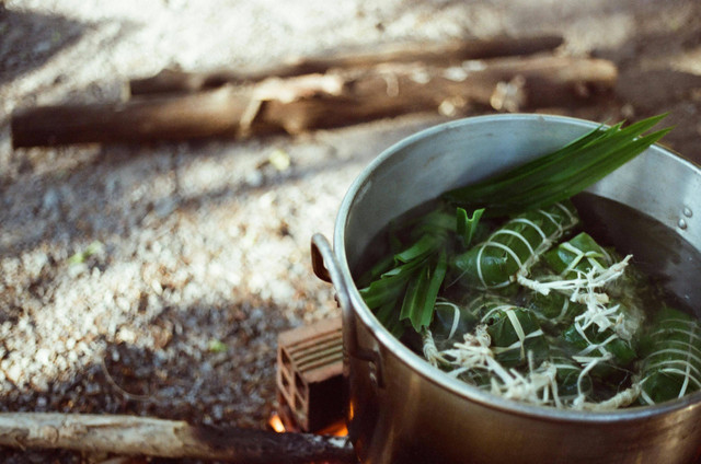 Ilustrasi Daun Pandan Menguning. Pexels/Anh Thư Nguyễn