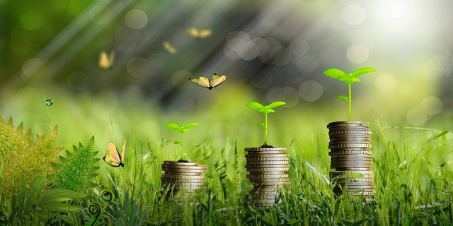 Ilustrasi Ekonomi Hijau (sumber : https://pixabay.com/photos/money-plants-growth-coins-finance-6692564/)