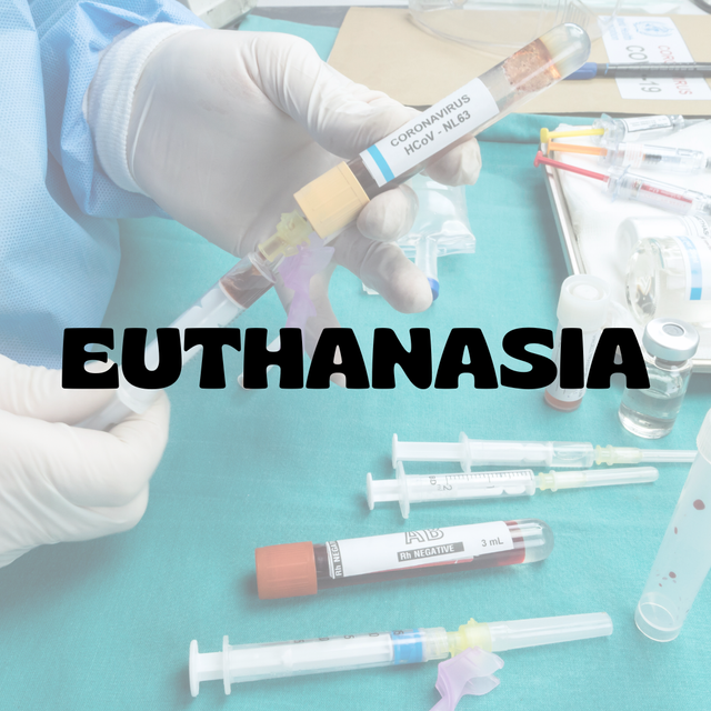 Ilustrasi Euthanasia (milik pribadi)