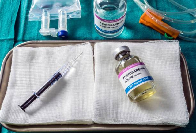 sumber: https://www.istockphoto.com/photo/vial-with-pentobarbital-used-for-euthanasia-and-lethal-inyecion-in-a-hospital-gm1142165948-306290860?utm_campaign=srp_photos_limitedresults&utm_content=https%3A%2F%2Fwww.pexels.com%2Fpencarian%2Feuthanasia%2F&utm_medium=affiliate&utm_source=pexels&utm_term=euthanasia