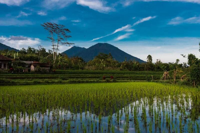 Puncak Gendol Semarang. Foto hanya ilustrasi, bukan tempat yang sebenarnya. Sumber: Unsplash/Pan Species