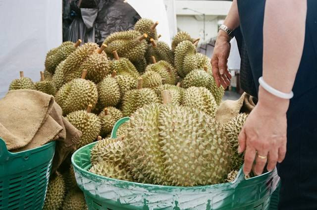 Ilustrasi Penyebab Daun Durian Menguning dan Rontok, Unsplash/Rach Teo