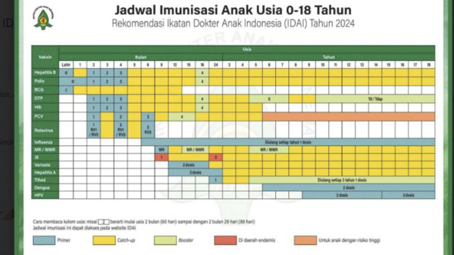 Jadwal Imunisasi Anak IDAI 2024.  Foto: Dok. IDAI