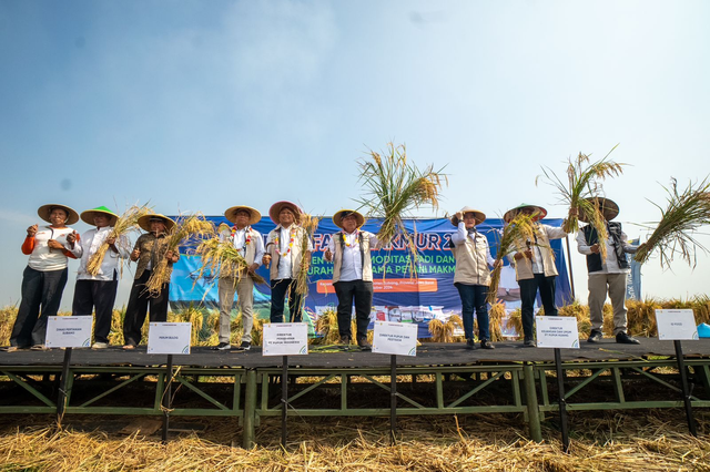 Pupuk Indonesia, Bulog, ID FOOD, Sang Hyang Seri, ASKRINDO dan stakeholder saat panen padi di Desa Mekarjaya, Kecamatan Compreng, Kabupaten Subang, Senin (21/10/2024). Foto: Dok. Pupuk Indonesia