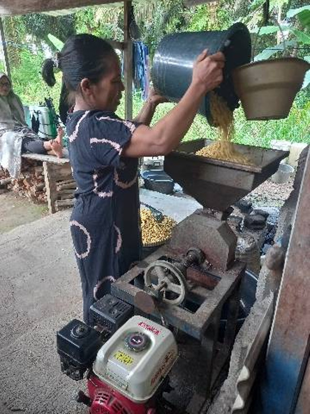 proses pembuatan tempe kedelai menggunakan mesin pemecah kedelai