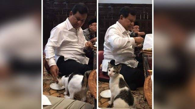 Prabowo Subianto memberi makan kucing, Bobby Kertanegara. Foto: Instagram @prabowomenyapa/kumparanNEWS