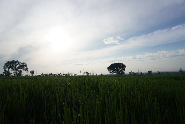 Tempat wisata di Babat. Foto hanya ilustrasi, bukan tempat sebenarnya. Sumber: Pexels/Khoirur Roziqin