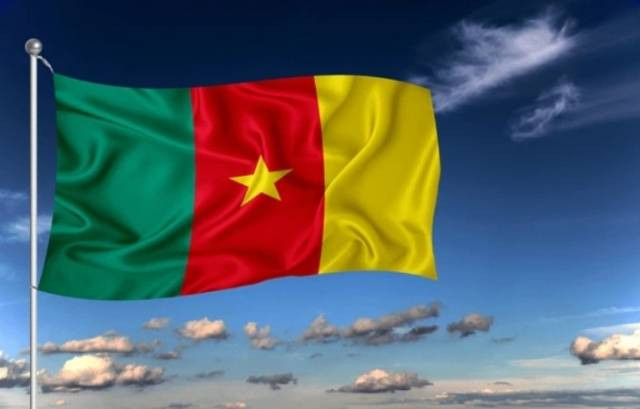 https://image.shutterstock.com/image-photo/kamerun-national-flag-waving-wind-600nw-1930940570.jpg?app=peacock