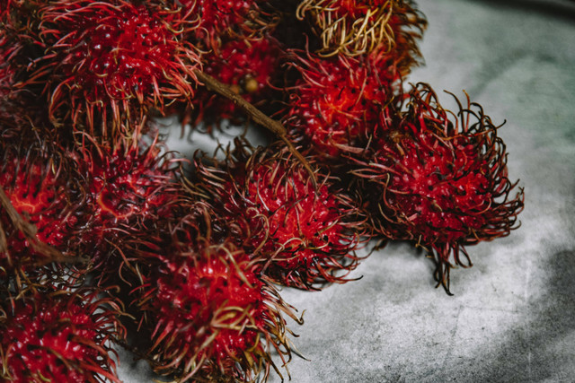 Ilustrasi Cara Budidaya Rambutan dari Batang, Foto: Pexels/ROMAN ODINTSOV