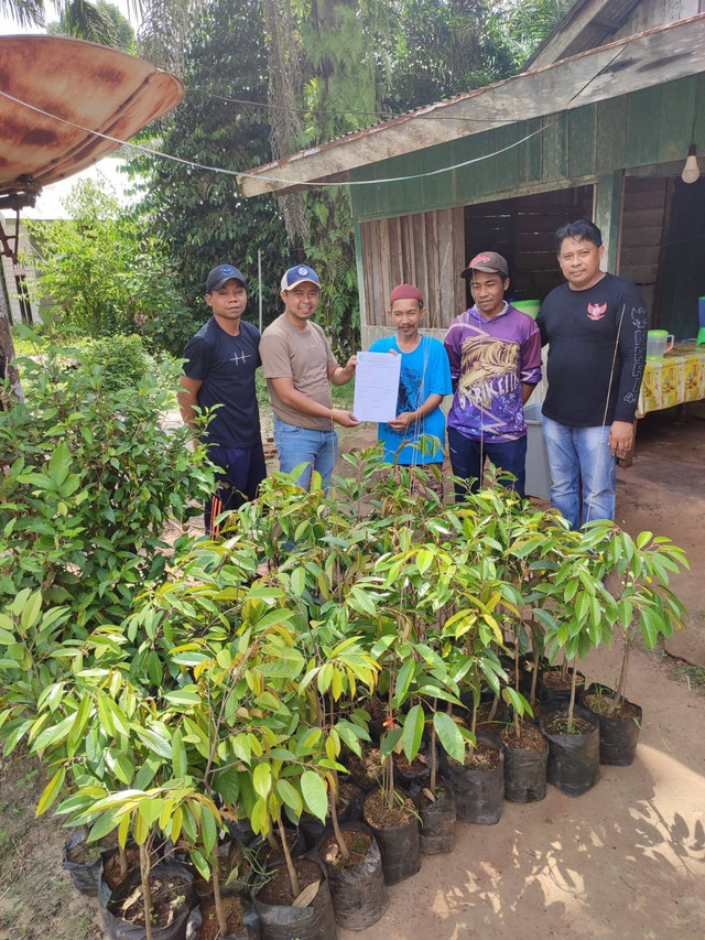 Pembagian Bibit Durian kepada seluruh masyarakat yang langsung disalurkan oleh kepala desa karang sari.