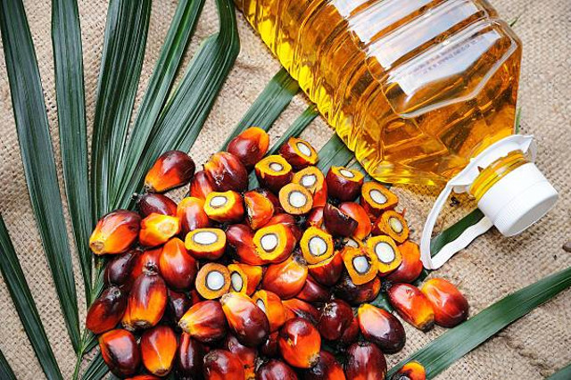 Istock/Crude Palm Oil