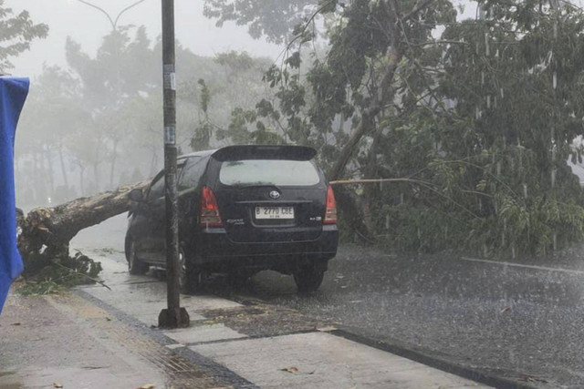 Pohon tumbang di Jalan Raya Ciater, Tangsel timpa mobil berwarna hitam imbas hujan deras, Kamis (24/10/2024). Foto: Dok. BPBD Tangsel