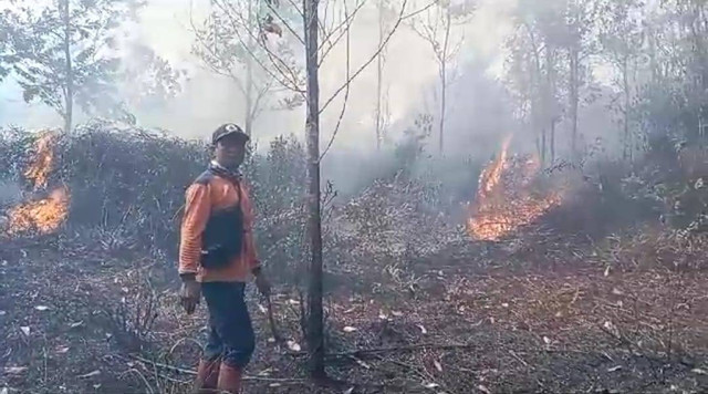 Kebakaran lahan di Mempawah. Foto: Dok. Istiemwa