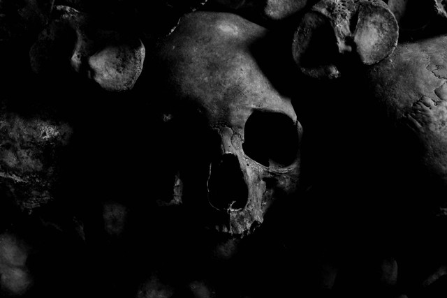 Photo by Mitja Juraja: https://www.pexels.com/photo/close-up-photo-of-skull-970517/