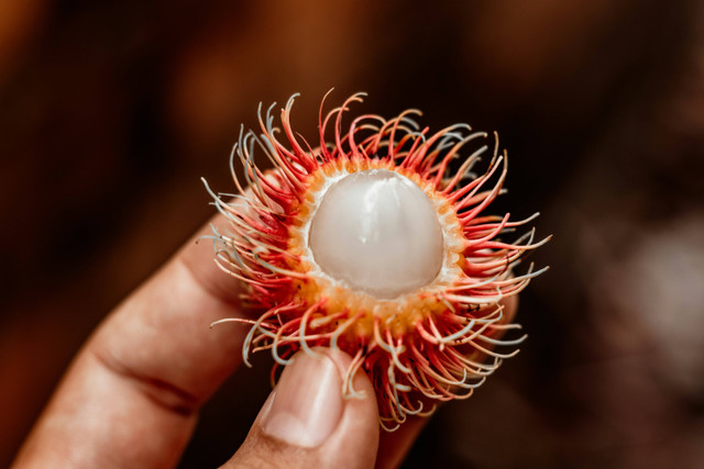 Ilustrasi Tips Bikin Asinan Rambutan, Unsplash/Kawê Rodrigues