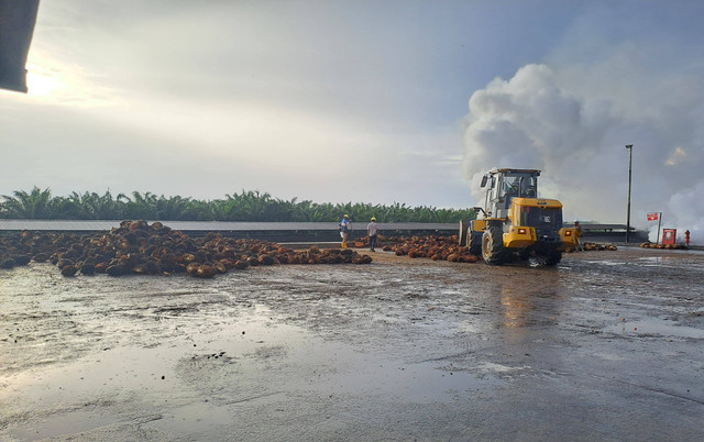 Stasiun sortir di Sungai Magalau Mill. Sumber : dokumen pribadi