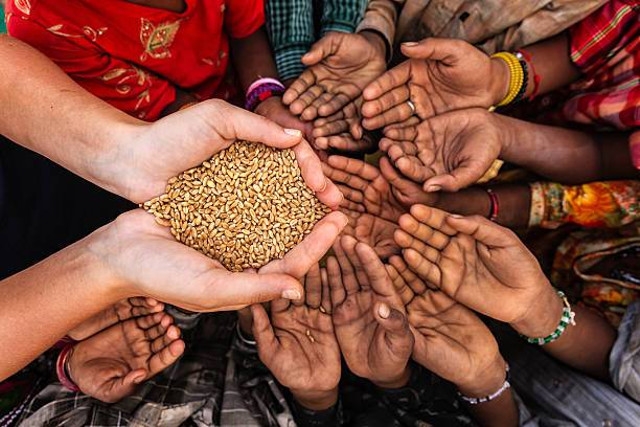 Ilustrasi Ketahanan Pangan di Ethiopia. Foto: Bartosz/istockphoto