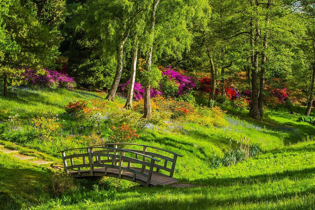 Tiket Masuk Taman Keceh Wajak, Foto Hanya Ilustrasi, Bukan Gambar Sebenarnya, Sumber Foto: Pixabay/Diego_tores