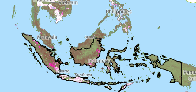 Sumber : Global Forest Watch ( Map free cover loss in Indonesia diakses 2024)