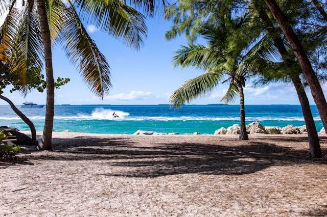 Pantai Kondang Sugu. Foto hanyalah ilustrasi, bukan tempat sebenarnya. Sumber: unsplash/Anders Wideskott.