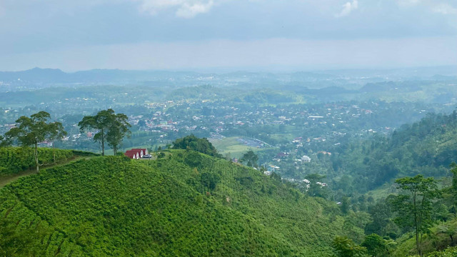 Pemandangan alam di Tawangmangu yang sangat menabjupkan                                     (Sumber : Jepretan foto dari kamera sendiri)