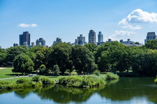 Kalipancur Central Park. Foto hanya ilustrasi, bukan tempat sebenarnya. Sumber: Unsplash/Dana Andreea Gheorghe