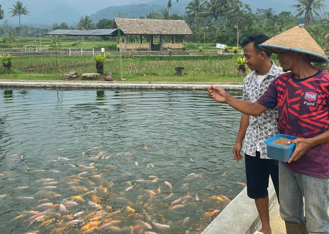 Kegiatan rutin pengecekan kolam swafoto bersama ikan-ikan